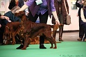 Crufts2011 192